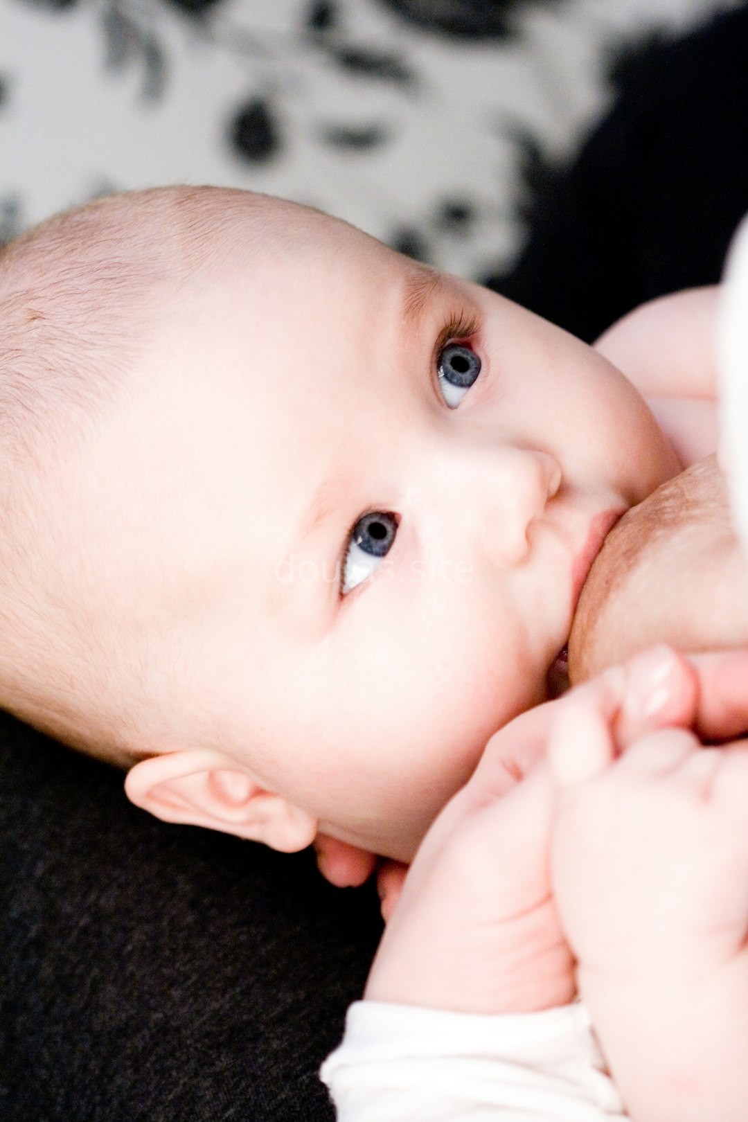 Newborn