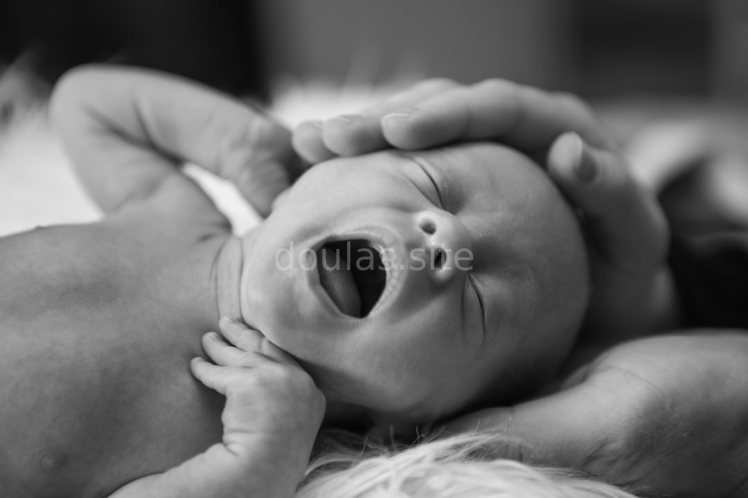 Pregnancy Care